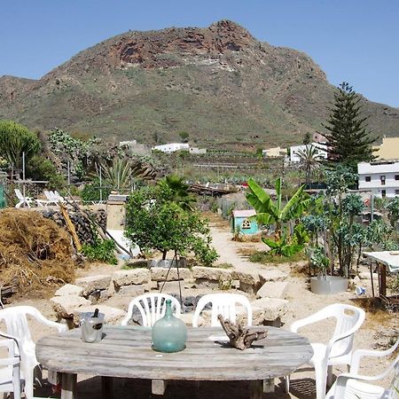 Finca Patio Canario アロナ エクステリア 写真
