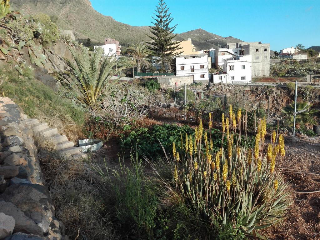 Finca Patio Canario アロナ エクステリア 写真