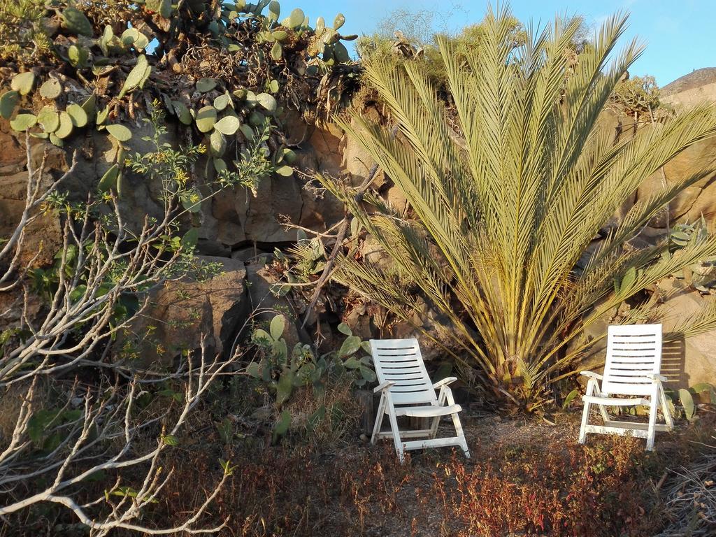 Finca Patio Canario アロナ エクステリア 写真