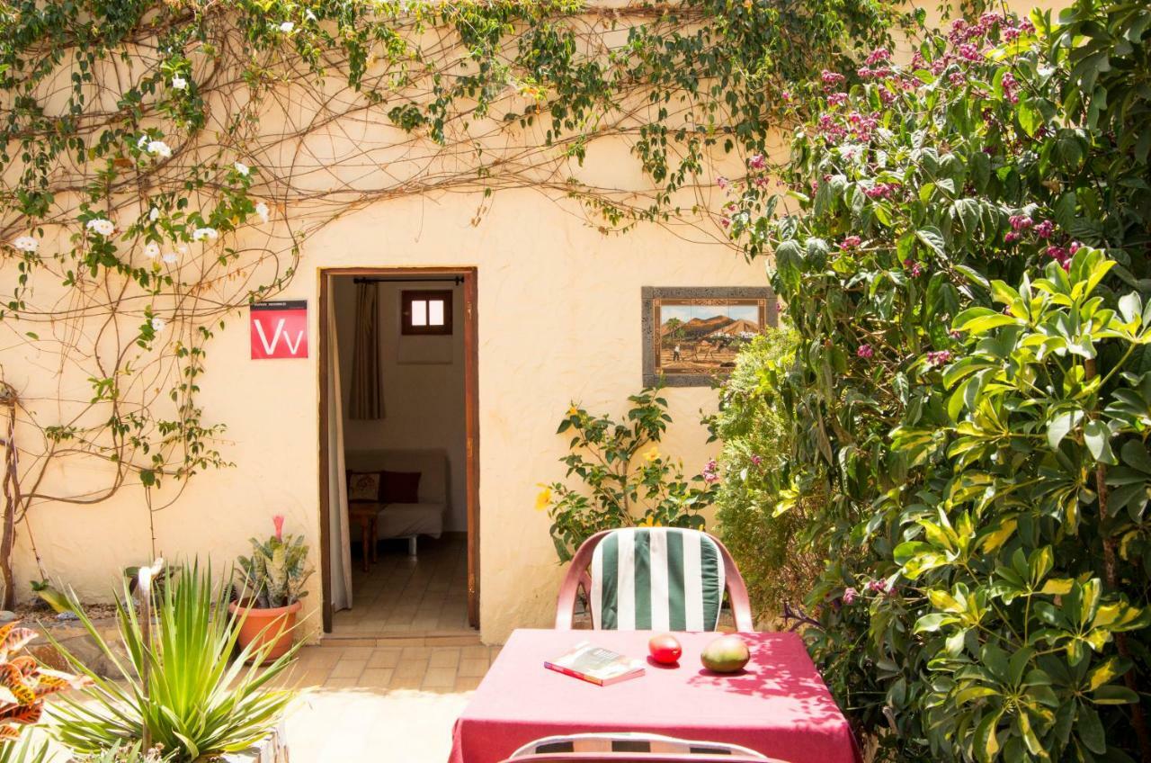 Finca Patio Canario アロナ エクステリア 写真