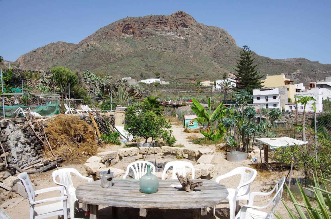 Finca Patio Canario アロナ エクステリア 写真